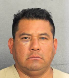 Hernandez Armando - Broward County, Florida 