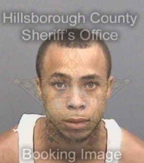 Williams Charles - Hillsborough County, Florida 