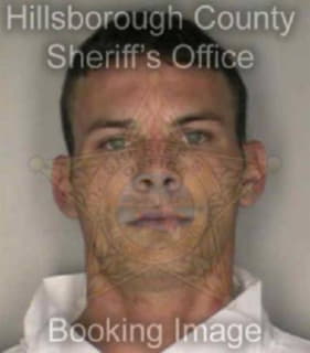 Ryan Henry - Hillsborough County, Florida 