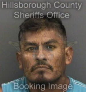 Milian Jose - Hillsborough County, Florida 