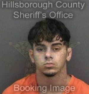 Kelley Logan - Hillsborough County, Florida 