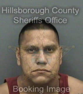 Medrano Rufino - Hillsborough County, Florida 