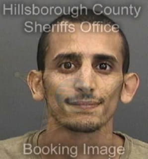 Algharbawi Ali - Hillsborough County, Florida 