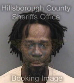 Mcdougald Earl - Hillsborough County, Florida 