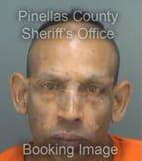 Rodriguez Eric - Pinellas County, Florida 