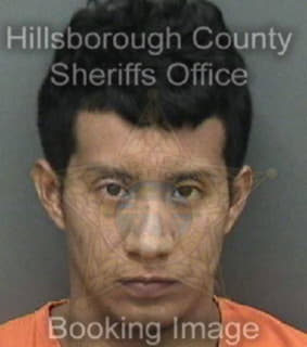 Vazquez Magdiel - Hillsborough County, Florida 