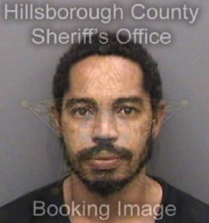 Rivera Michael - Hillsborough County, Florida 