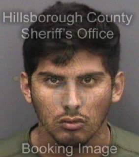 Contreras Alberto - Hillsborough County, Florida 