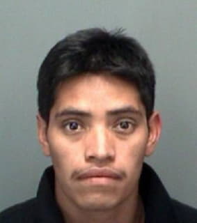 Hernandez-Marquez Pedro - Pinellas County, Florida 