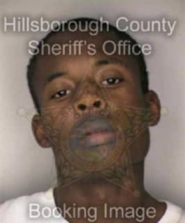 Richardson Rodney - Hillsborough County, Florida 