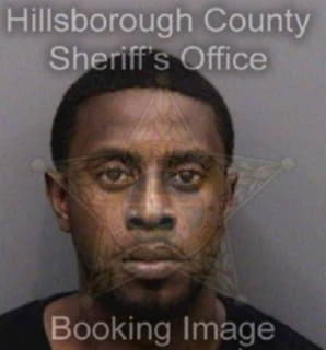 Pearson Steven - Hillsborough County, Florida 