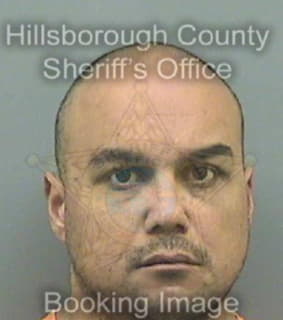 Barreto Renier - Hillsborough County, Florida 