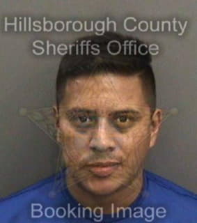 Arellano Juan - Hillsborough County, Florida 