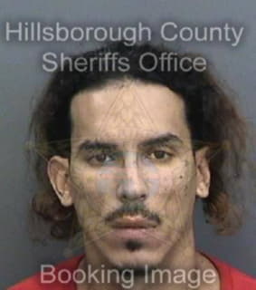 Lugo Osiel - Hillsborough County, Florida 