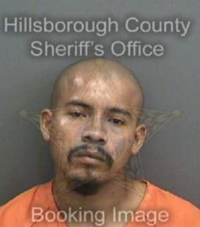 Aguilar Vilmer - Hillsborough County, Florida 