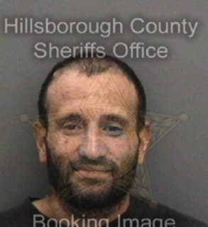 Diaz Wilbert - Hillsborough County, Florida 