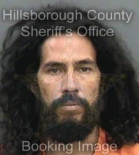 Rivera David - Hillsborough County, Florida 