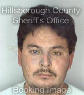 Medinahernandez Jose - Hillsborough County, Florida 