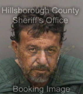 Martinezmorales Ramiro - Hillsborough County, Florida 