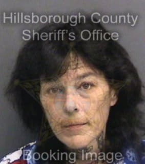 Andrade Cheryl - Hillsborough County, Florida 