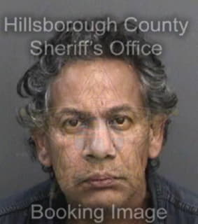 Andrade Gerardo - Hillsborough County, Florida 