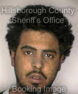 Diaz Edward - Hillsborough County, Florida 