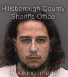 Diaz Armando - Hillsborough County, Florida 