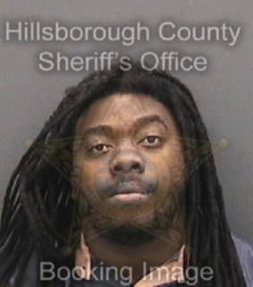 Sykes Bruce - Hillsborough County, Florida 