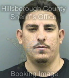 Diaz Alejandro - Hillsborough County, Florida 