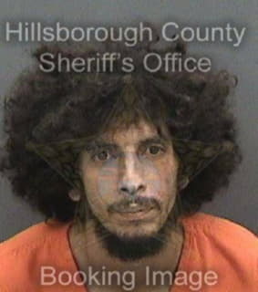 Colonmuniz Jonathan - Hillsborough County, Florida 