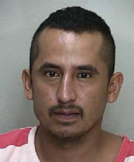 Ruiz Mauricio - Marion County, Florida 