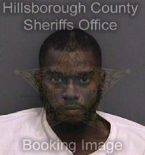 Anthonywillis Charlvester - Hillsborough County, Florida 