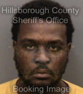 Johnson Demetrius - Hillsborough County, Florida 