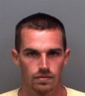 Mcdevitt Michael - Pinellas County, Florida 