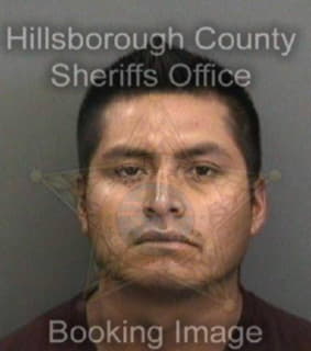 Perezgomez Ramiro - Hillsborough County, Florida 