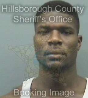 Mcintyre William - Hillsborough County, Florida 