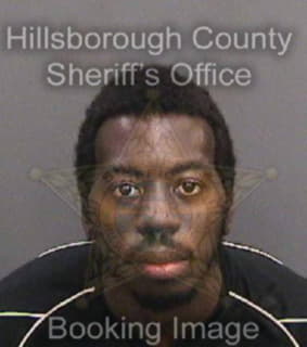 Wallace Deangelo - Hillsborough County, Florida 