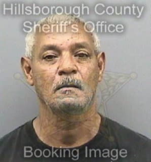 Rodriguezmorales Felix - Hillsborough County, Florida 