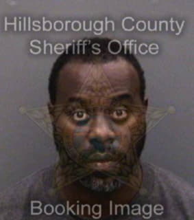 Robinson Lavain - Hillsborough County, Florida 