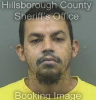 Rosado Marcus - Hillsborough County, Florida 