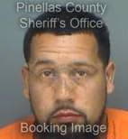 Royster Tyler - Pinellas County, Florida 