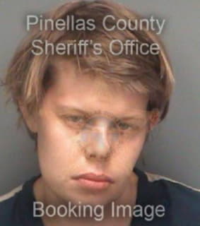 Hickman Anthony - Pinellas County, Florida 