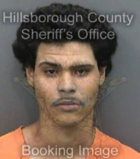 Varela Jeremy - Hillsborough County, Florida 