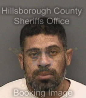 Rivera Luis - Hillsborough County, Florida 