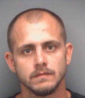 Robinson Christopher - Pinellas County, Florida 