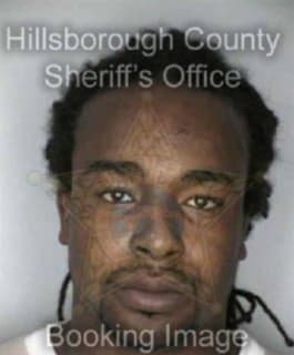 Williams Roger - Hillsborough County, Florida 