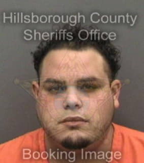 Rivera Alex - Hillsborough County, Florida 