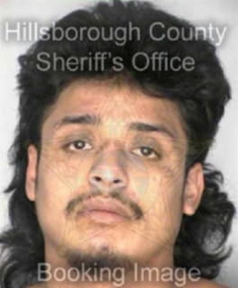 Vegaservin Juan - Hillsborough County, Florida 