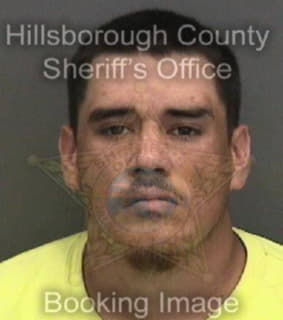 Rodriguez George - Hillsborough County, Florida 