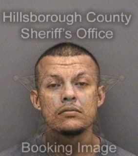 Vasquez Jose - Hillsborough County, Florida 